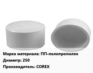 Заглушка полипропилен, полиэтилен, металлопластик пластик ПП-полипропилен D=250 COREX